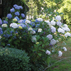Gardening courses for Children in London